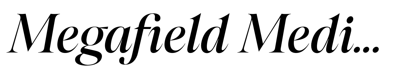 Megafield Medium Italic